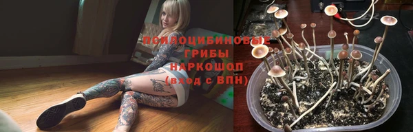 гашик Богородицк