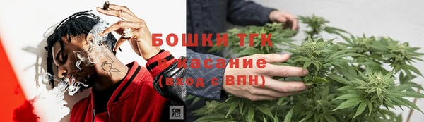 PSILOCYBIN Богданович