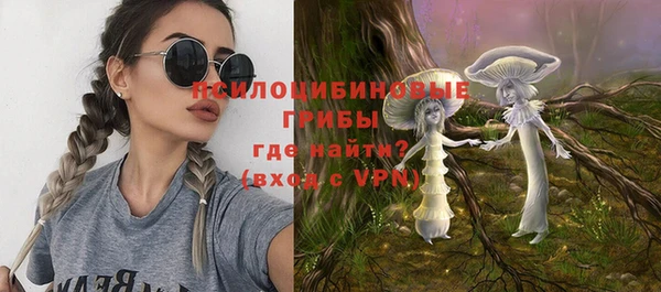 PSILOCYBIN Богданович