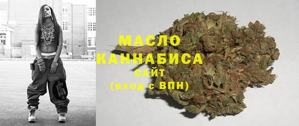 PSILOCYBIN Богданович